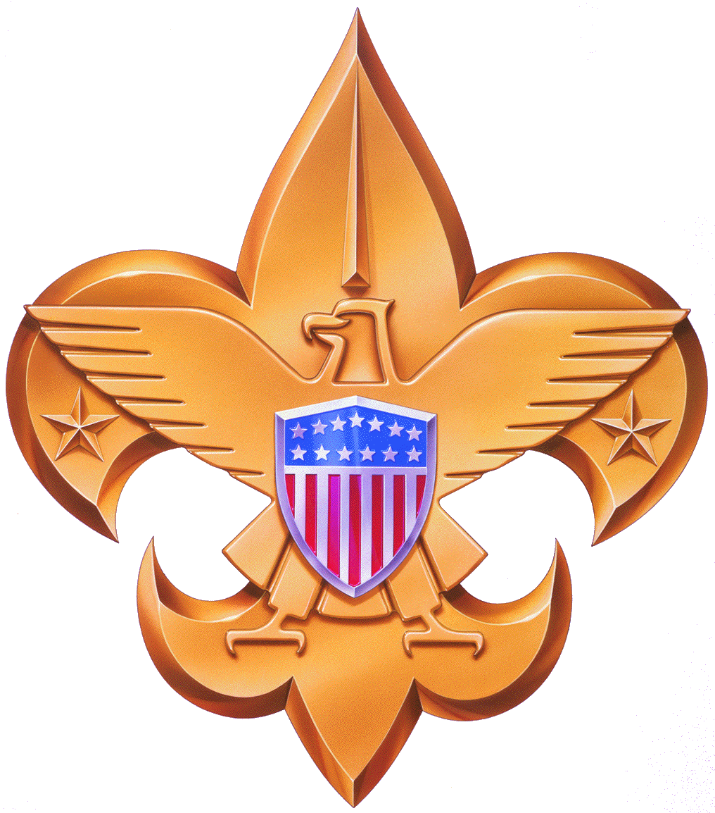 https://162.241.254.166/troop303/images/BSA_Web_Site_logo_160.jpg